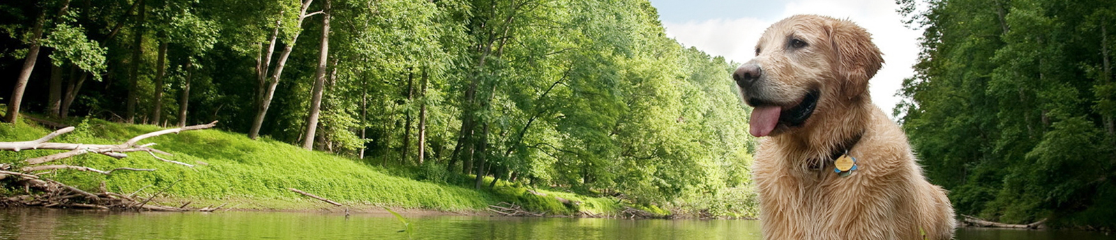 企業(yè)簡介banner